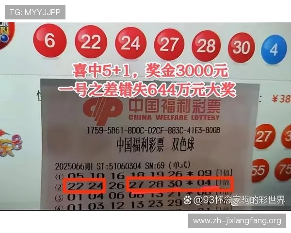 一分快三奖金分配机制详解让玩家了解每一笔奖金的来源