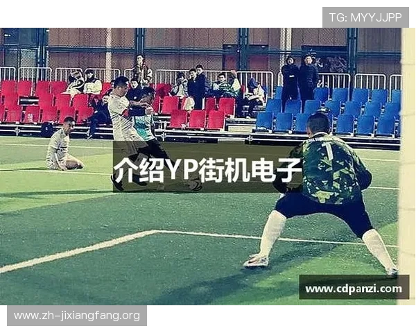 yp电子游戏有哪些热门游戏推荐，满足不同玩家的娱乐需求与挑战欲望