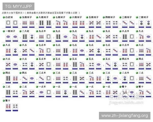 二八杠游戏大全：二八杠游戏的历史发展与未来趋势全面解读