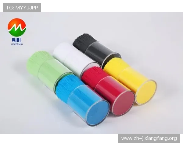 关于pa捕鱼官网的全面介绍与最新玩法攻略，助你轻松掌握游戏技巧提升战绩
